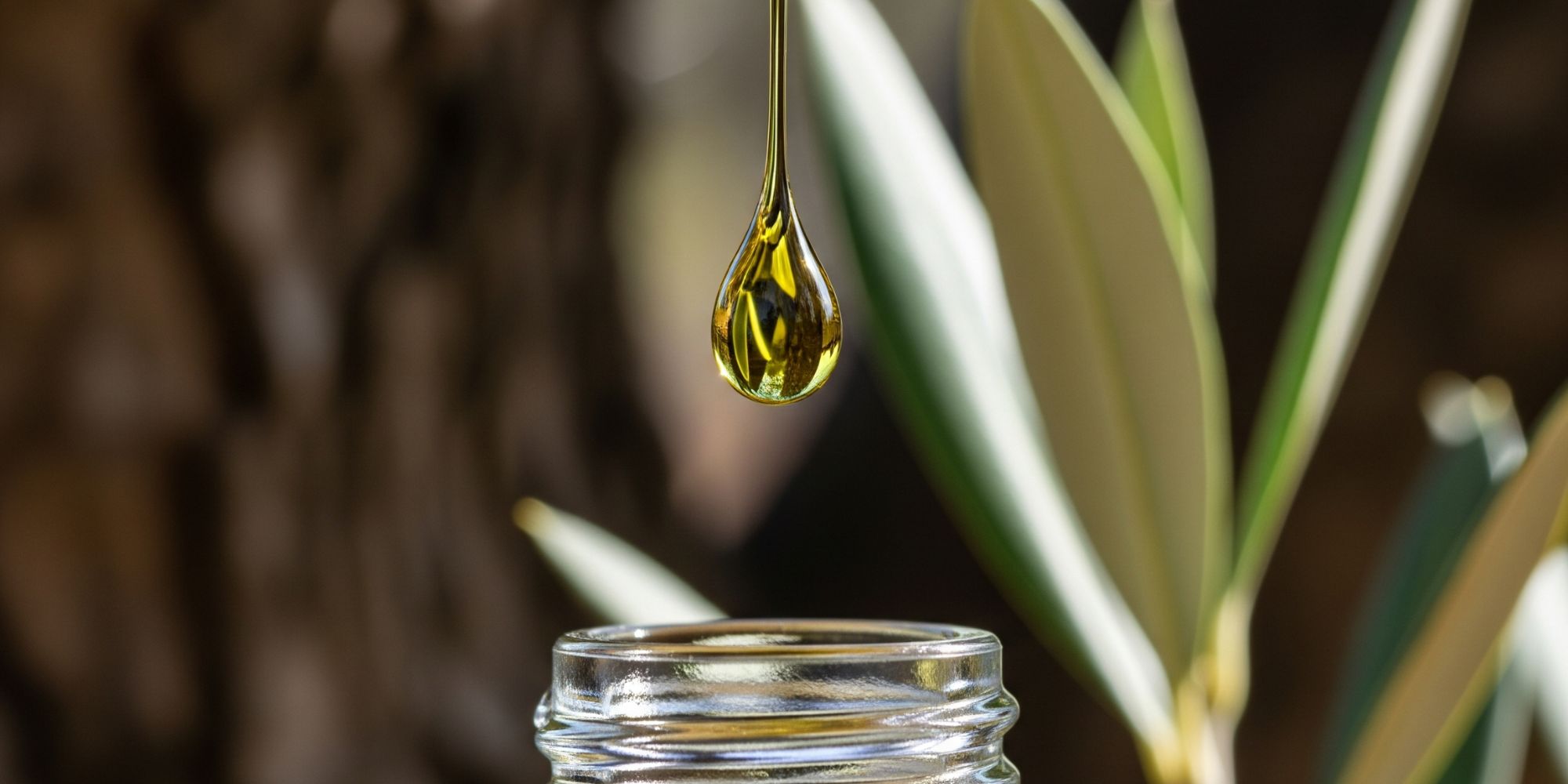 The Cooperatives of Portugal: A Source of Value & Consistency